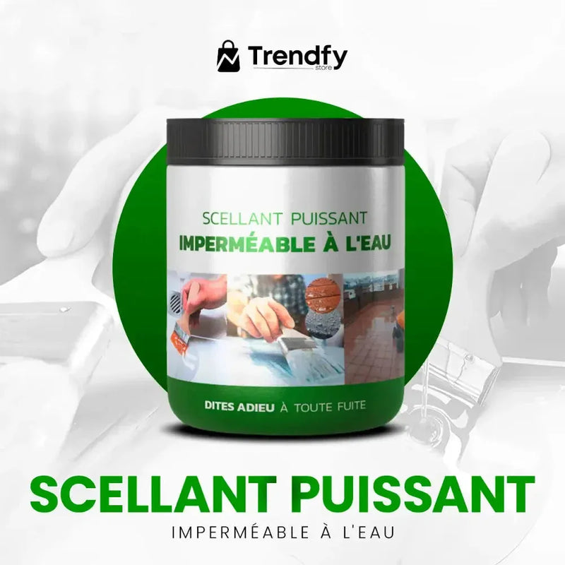 Scellant Puissant Imperméable à l'eau + Pinceau Offert